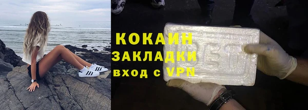 гашик Белокуриха