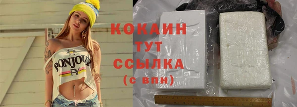 гашик Белокуриха