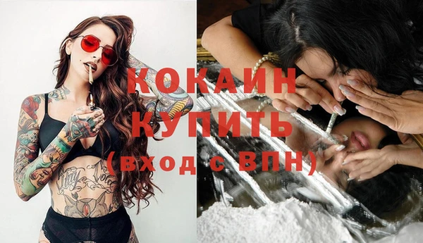 гашик Белокуриха