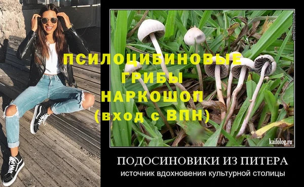 гашик Белокуриха