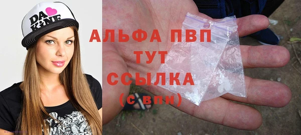 гашик Белокуриха